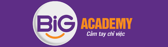 Big Academy logo ok